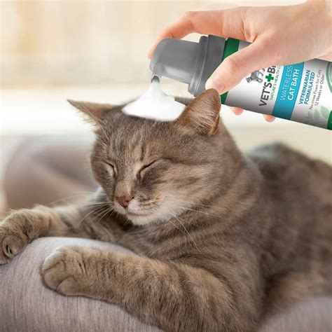 best cat shampoo reddit